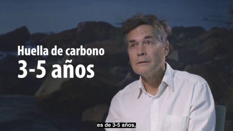 Optimiza el ahorro de energ&iacute;a en oficinas con cortinas de cristal