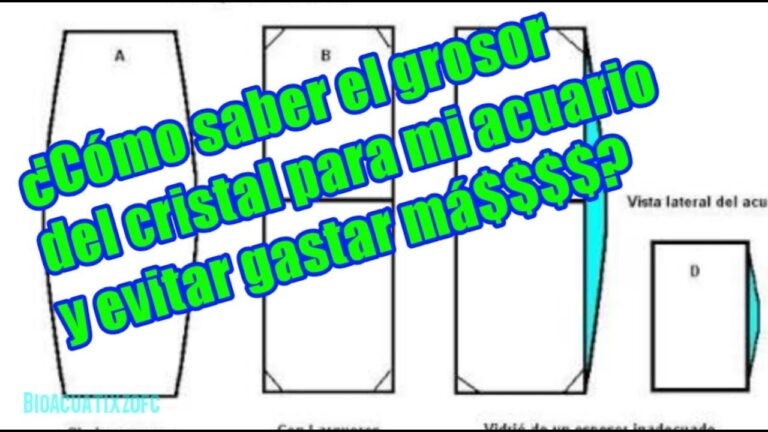 Cristal de Alta Resistencia: Seguridad Reforzada en Cada Espacio